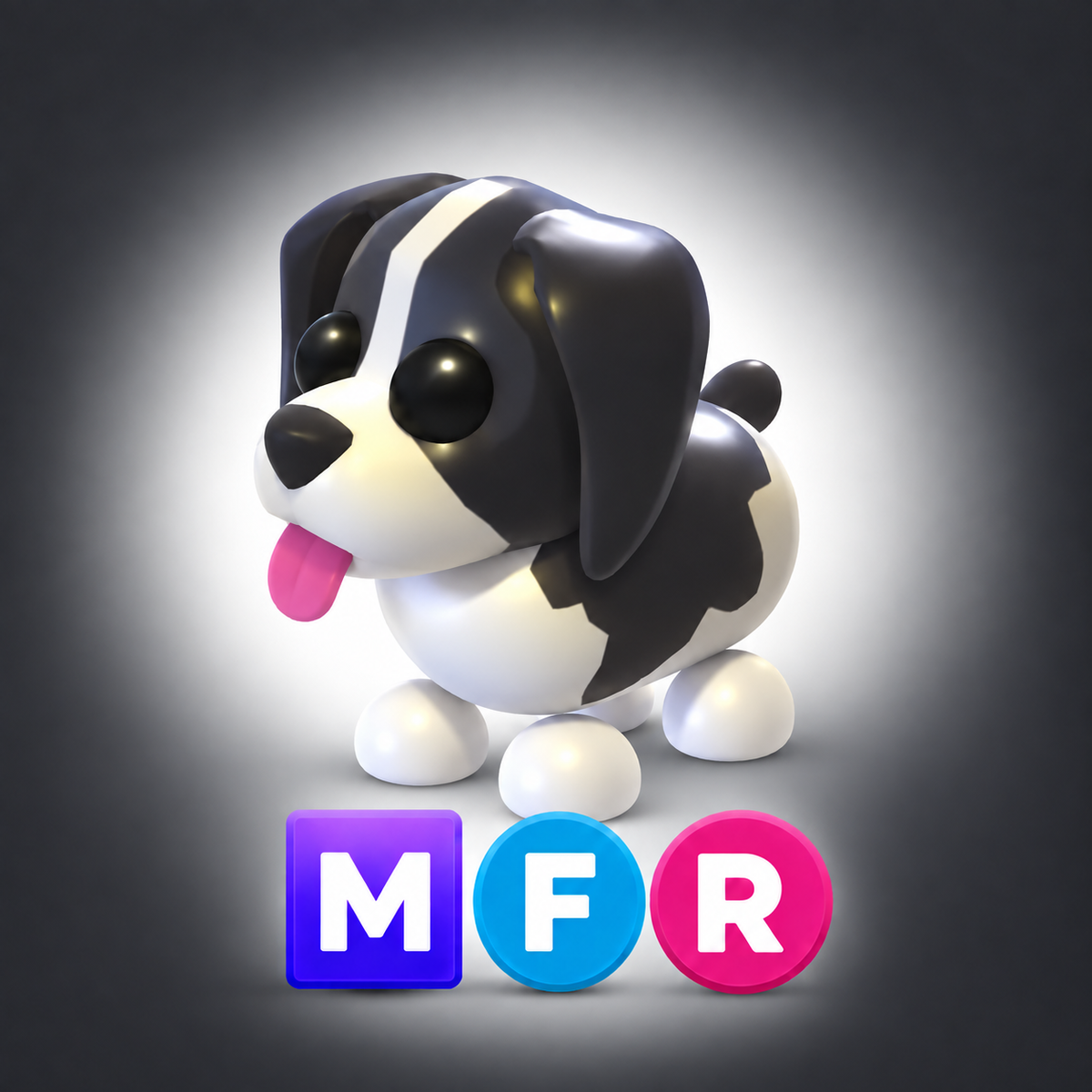 Black Springer Spaniel