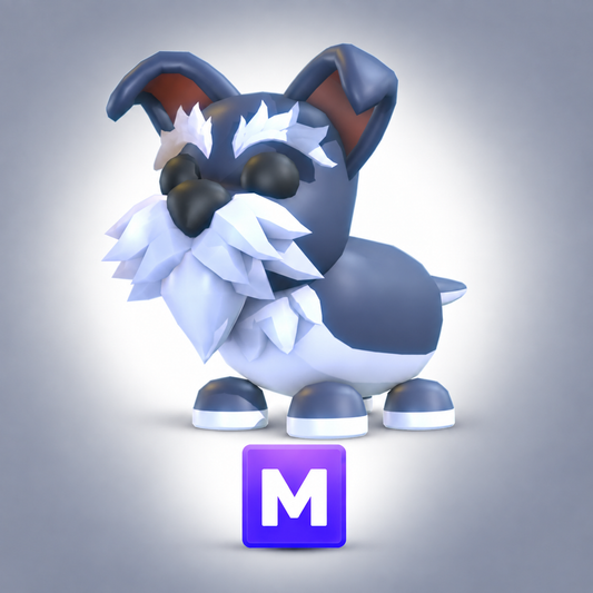 Mini Schnauzer