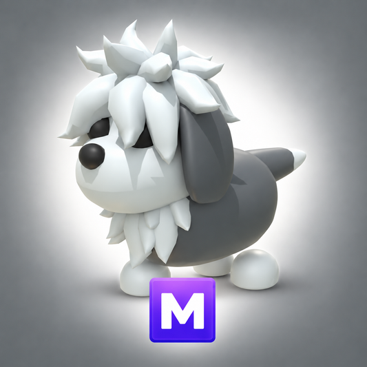 English Sheepdog