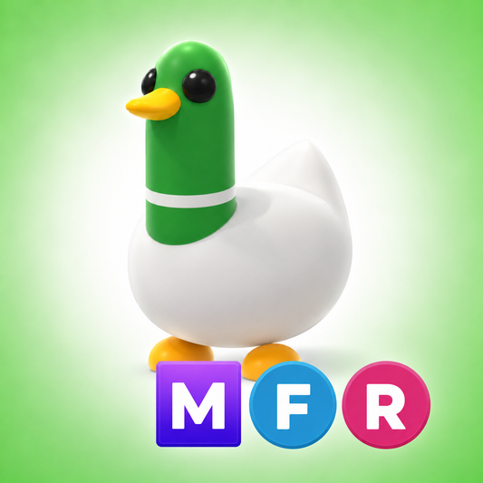 Silly Duck