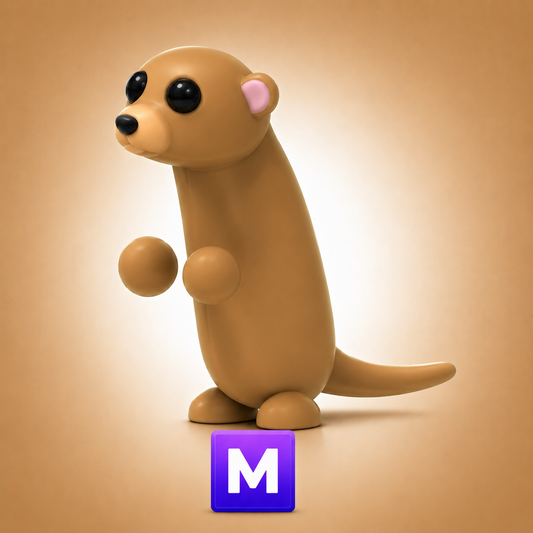 Meerkat