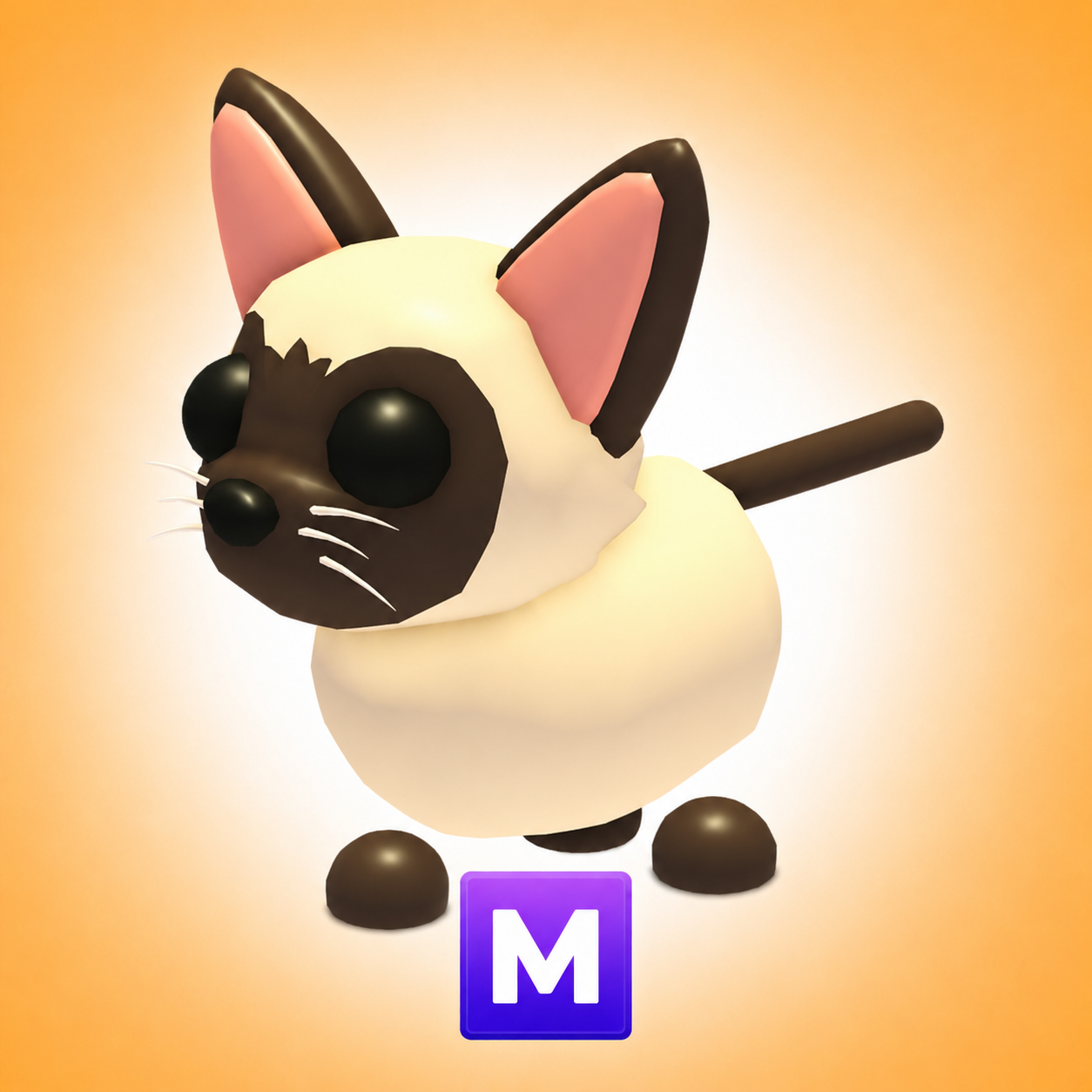 Siamese Cat